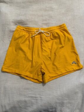 Tracksmith Van Cortland Grand Shorts